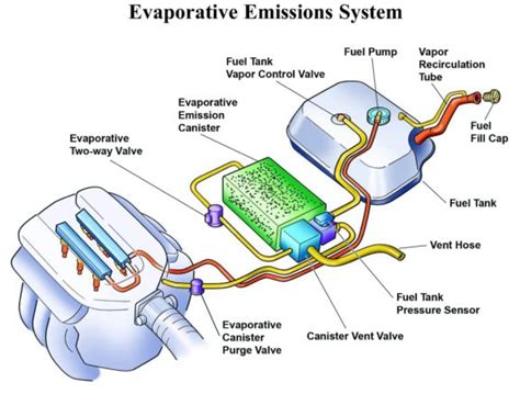 smoke test evap system cost|Car Smoke Test Cost: 2023 Prices & Average Rates